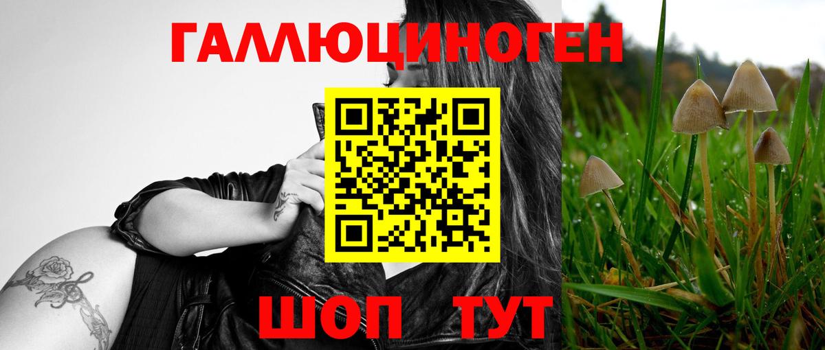 Галлюциногенные грибы GOLDEN TEACHER Моздок